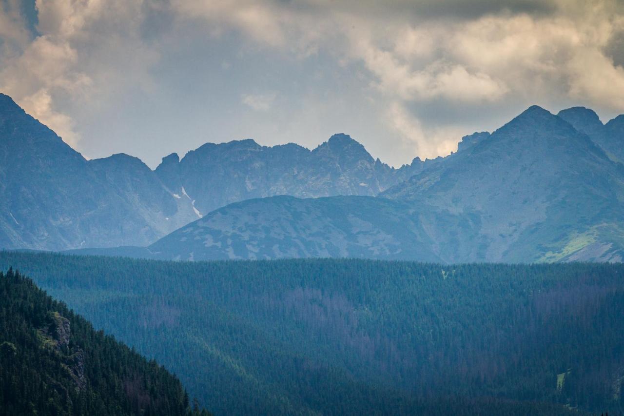 Cubryna Leilighet Zakopane Eksteriør bilde